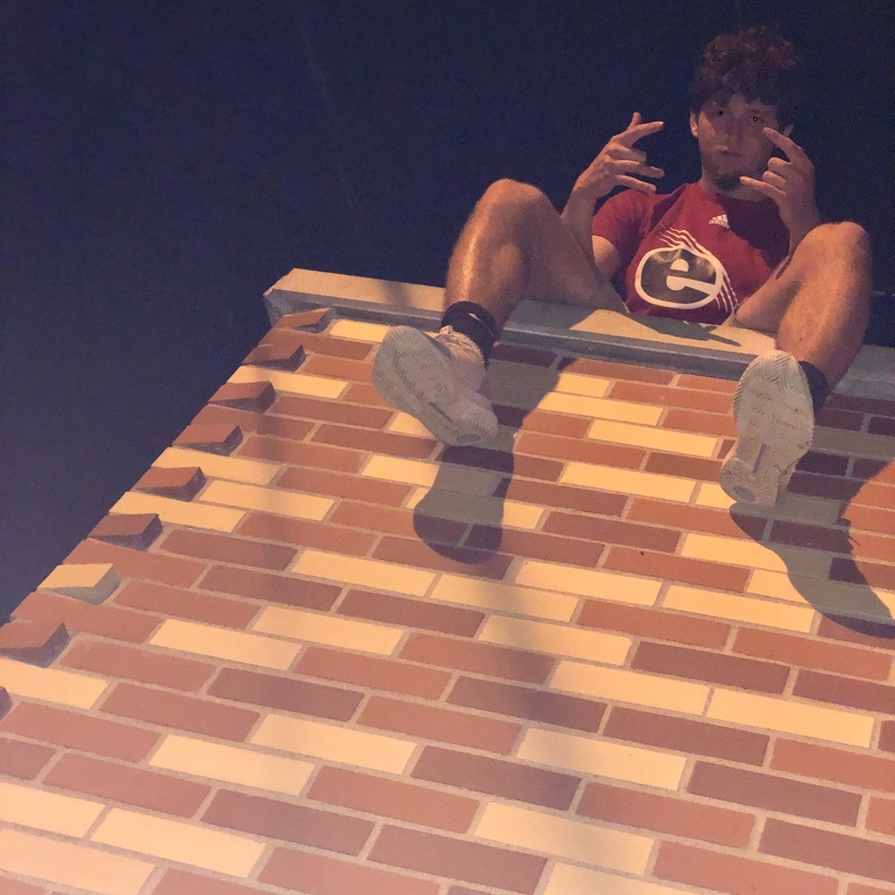 Meet your Posher, Haydn